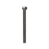 TORNILLO DE LOS FILTROS AUTOSENIOR 4