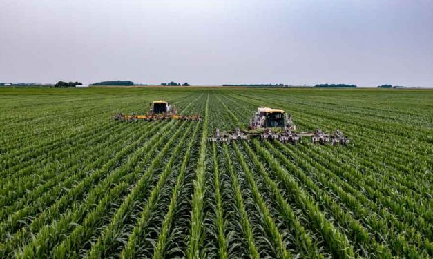 ¿Qué es la agricultura intensiva?