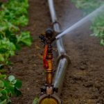 Todo sobre la agricultura de regadío