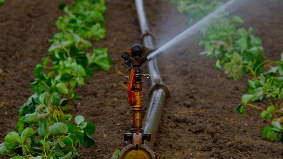 Todo sobre la agricultura de regadío