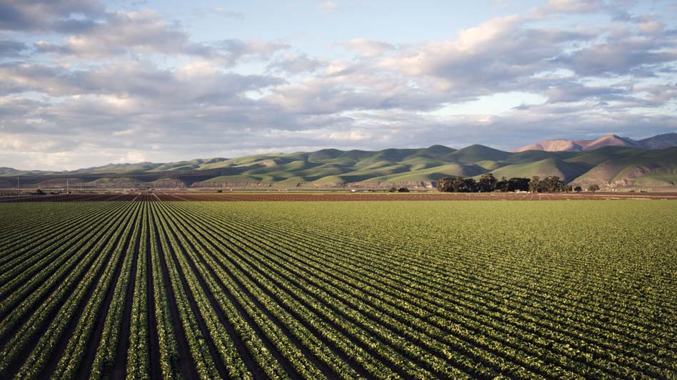 Todo sobre la Agricultura Extensiva