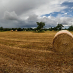 Agricultura de subsistencia: Todo lo que necesitas saber