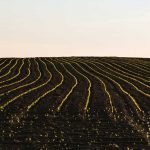 <a></a><strong>Por qué la agricultura tradicional no es una técnica de cultivo recomendada</strong>