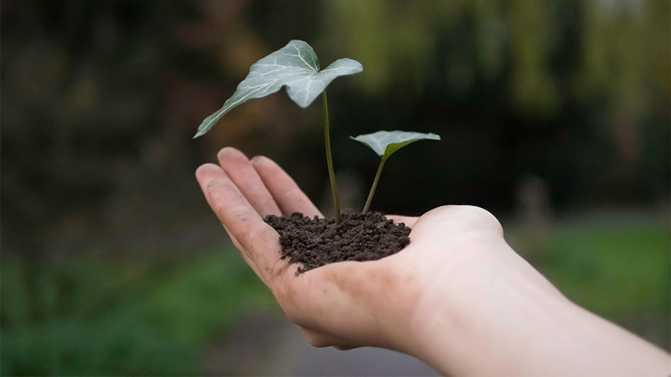 10 consejos para cuidar el medio ambiente