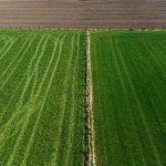 Beneficios de la tecnología agrícola