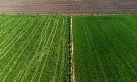 Beneficios de la tecnología agrícola