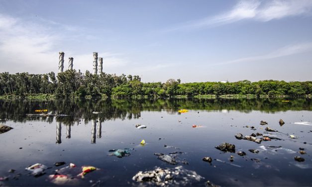 ¿Cómo evitar la contaminación del agua en la agricultura?