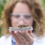 Calidad del agua de riego: aprende a medirla y mejorarla para optimizar tu producción