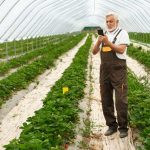 Esto es todo lo que necesitas saber sobre la fertirrigación