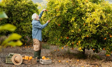 Sistemas de riego para árboles frutales