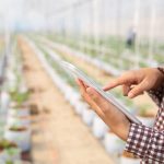 Agricultura inteligente: qué es y cómo mejora la gestión de recursos hídricos