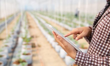 Agricultura inteligente: qué es y cómo mejora la gestión de recursos hídricos